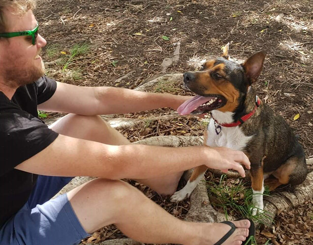 rspca adopted dog Tyson bonding time with owner